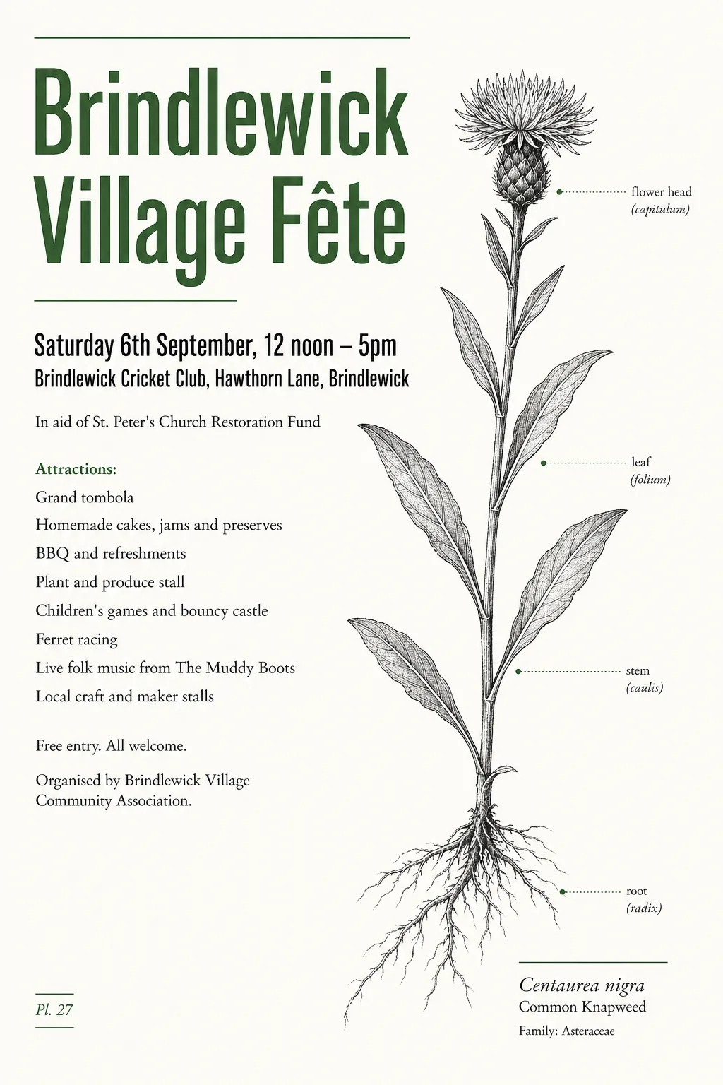 Botanical Scientific Illustration fete poster, original bitmap