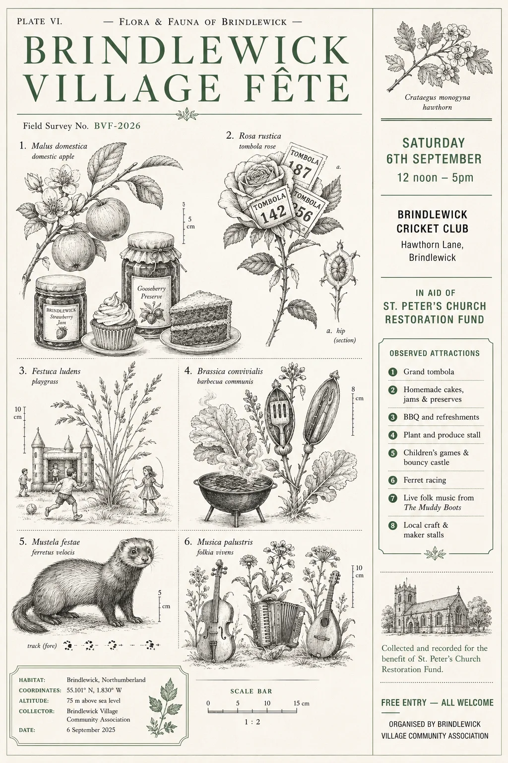 Botanical Scientific Illustration — fête poster example