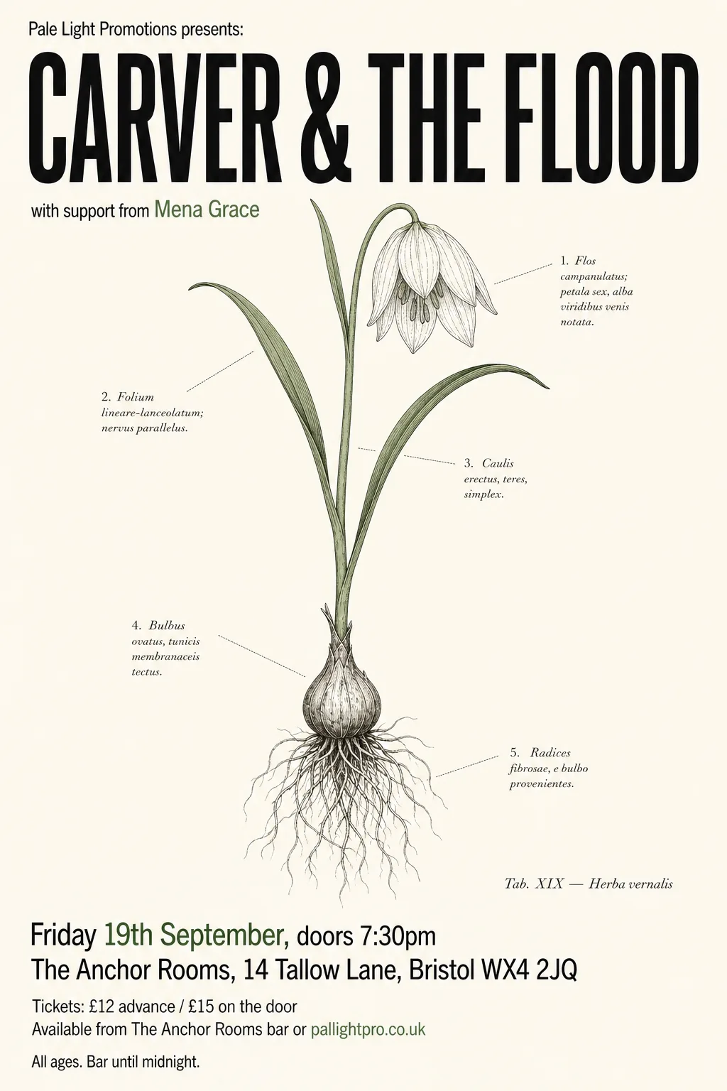 Botanical Scientific Illustration gig poster, original bitmap