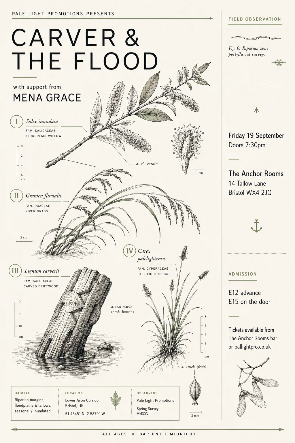 Botanical Scientific Illustration — gig poster example