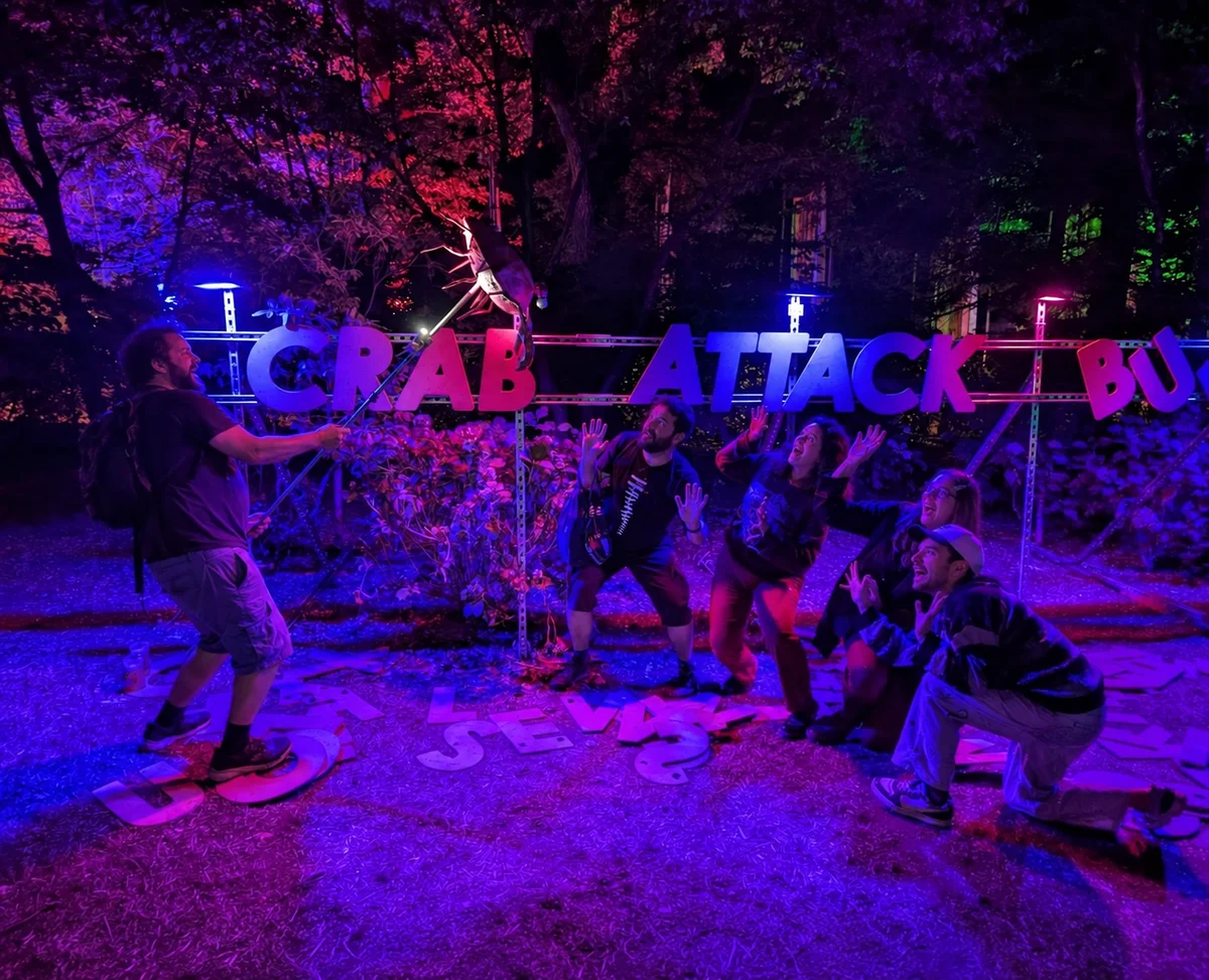 The CRAB ATTACK photograph, taken on Malcolm's phone that Saturday night.